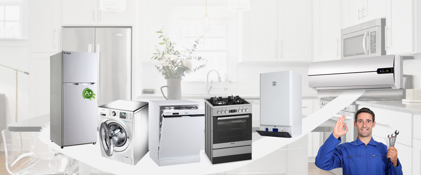 Demirözü Electrolux Servisi